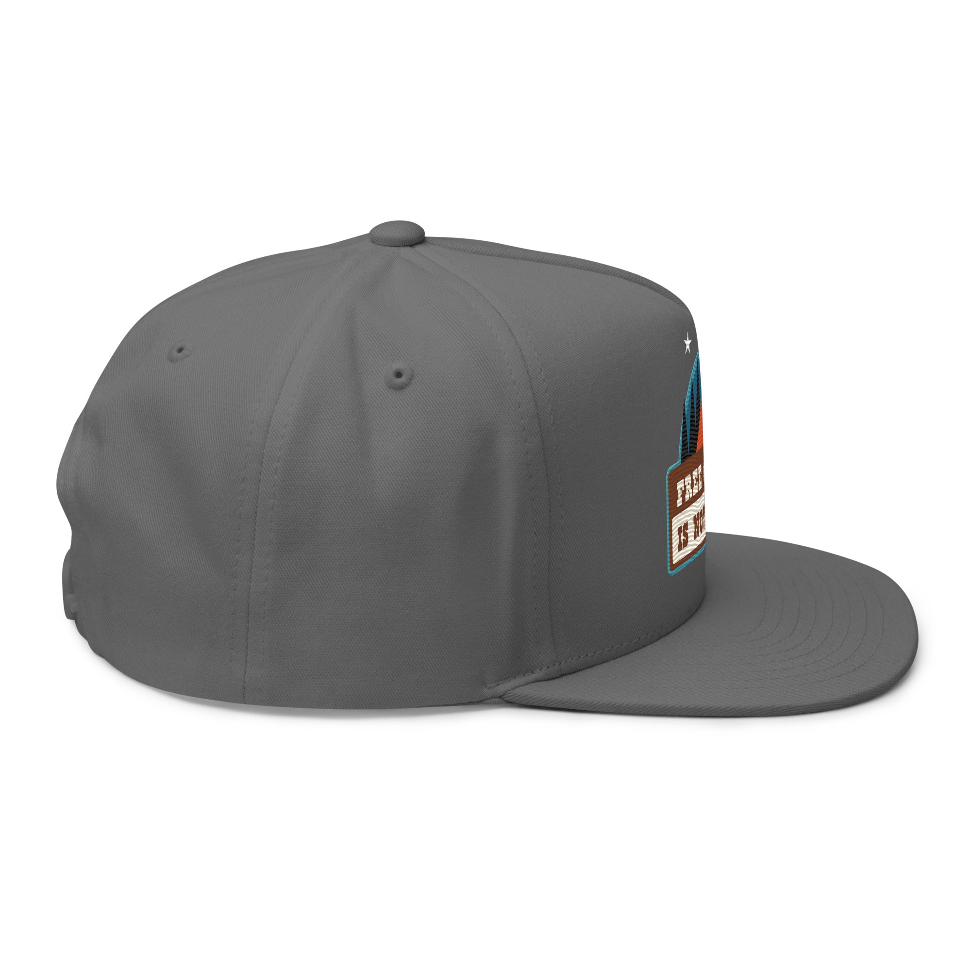 Flat Bill Cap Ski Bum Free camping is not a crime multicolor embroidered pattern