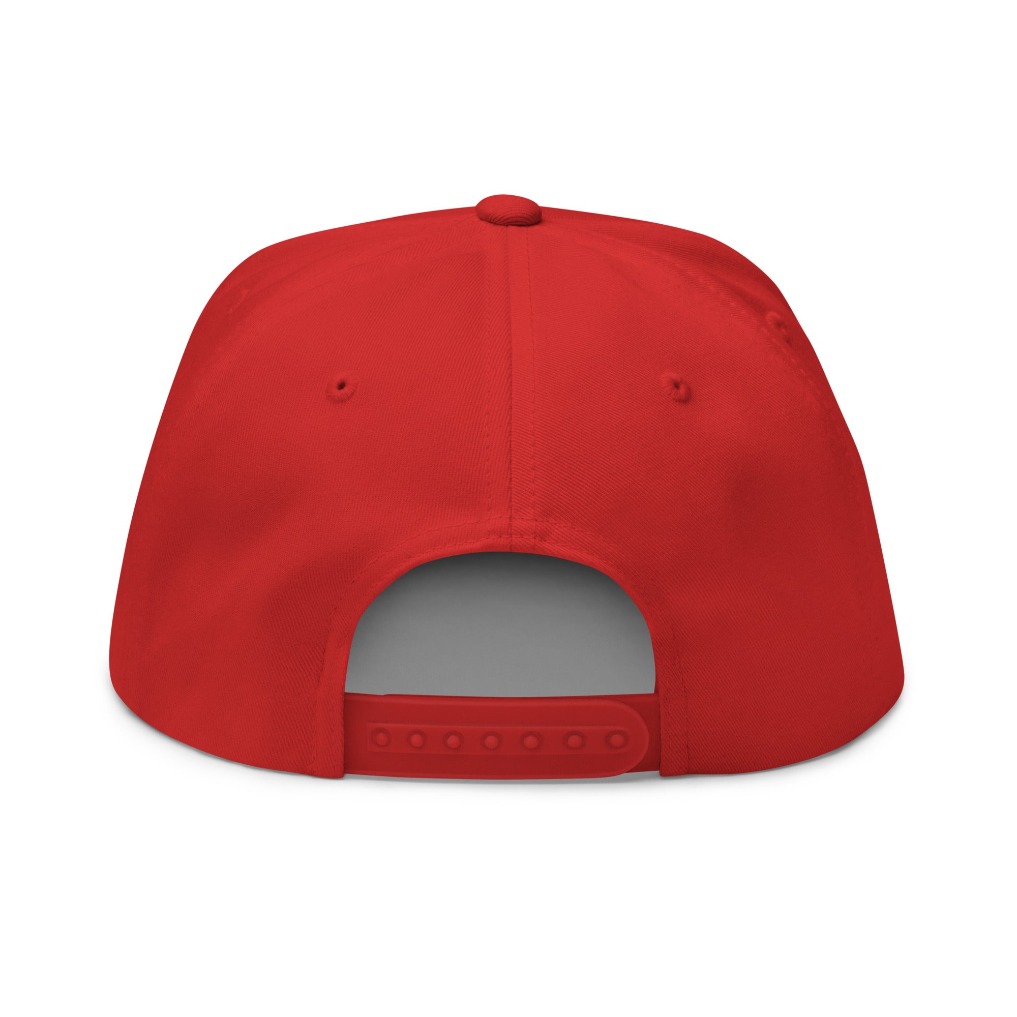 Flat Bill Cap Ski Bum Free camping is not a crime multicolor embroidered pattern