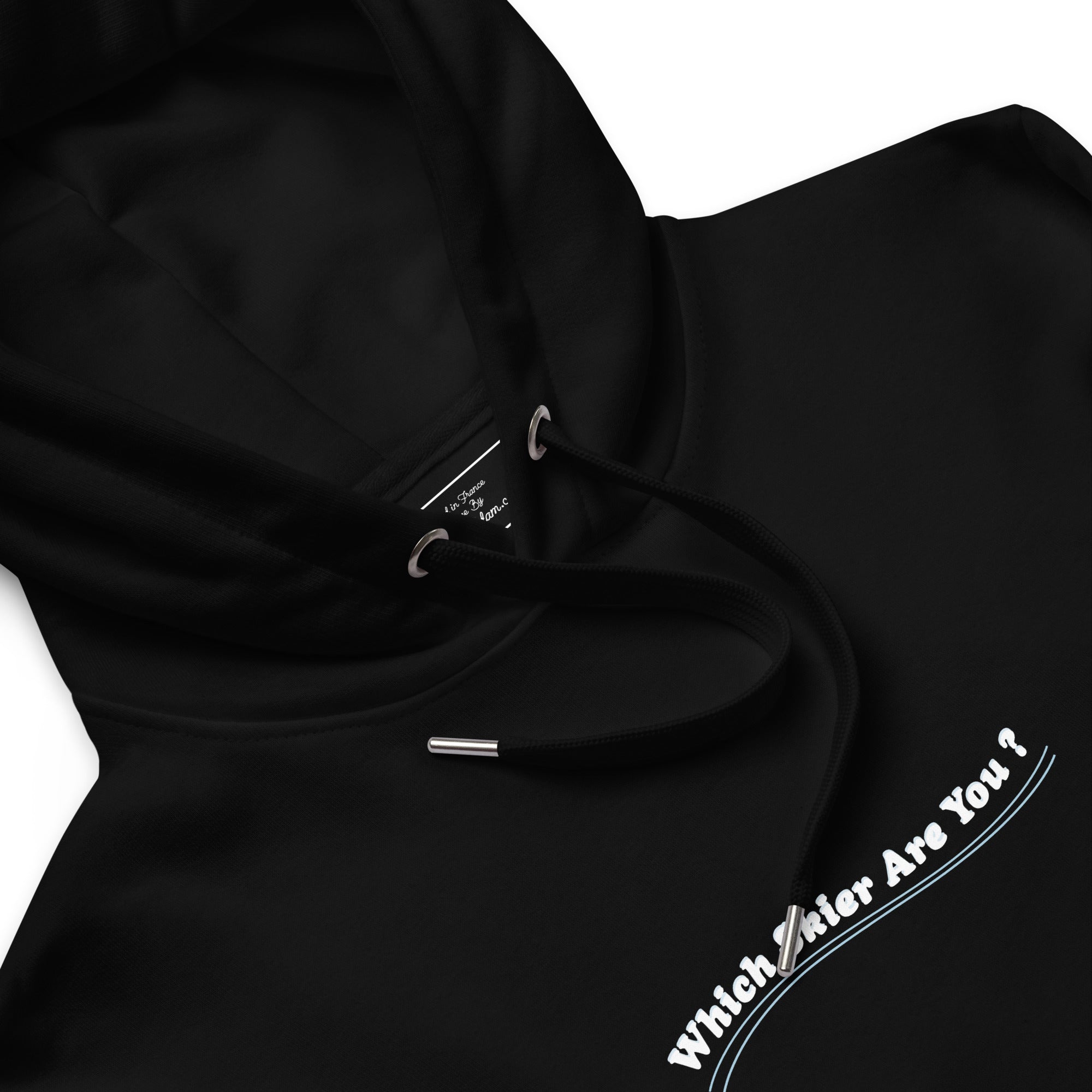 Sweat à capuche Premium écologique Which skier are you? Love Instructor First Lesson free sur noir (face & dos)