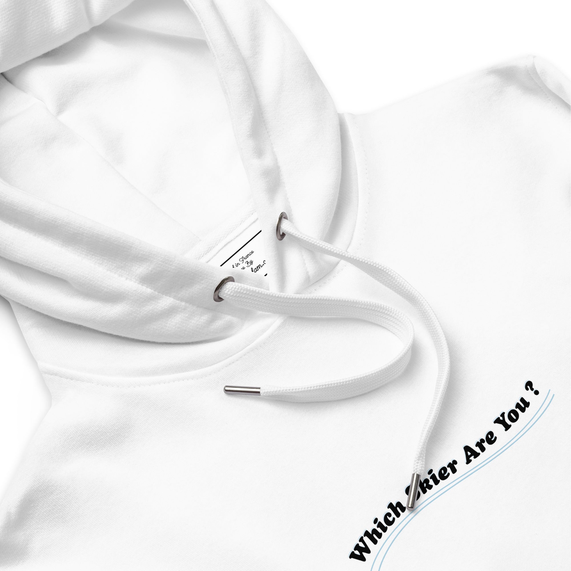 Sweat à capuche premium écologique Which skier are you? Love Instructor First Lesson free sur blanc (face & dos)