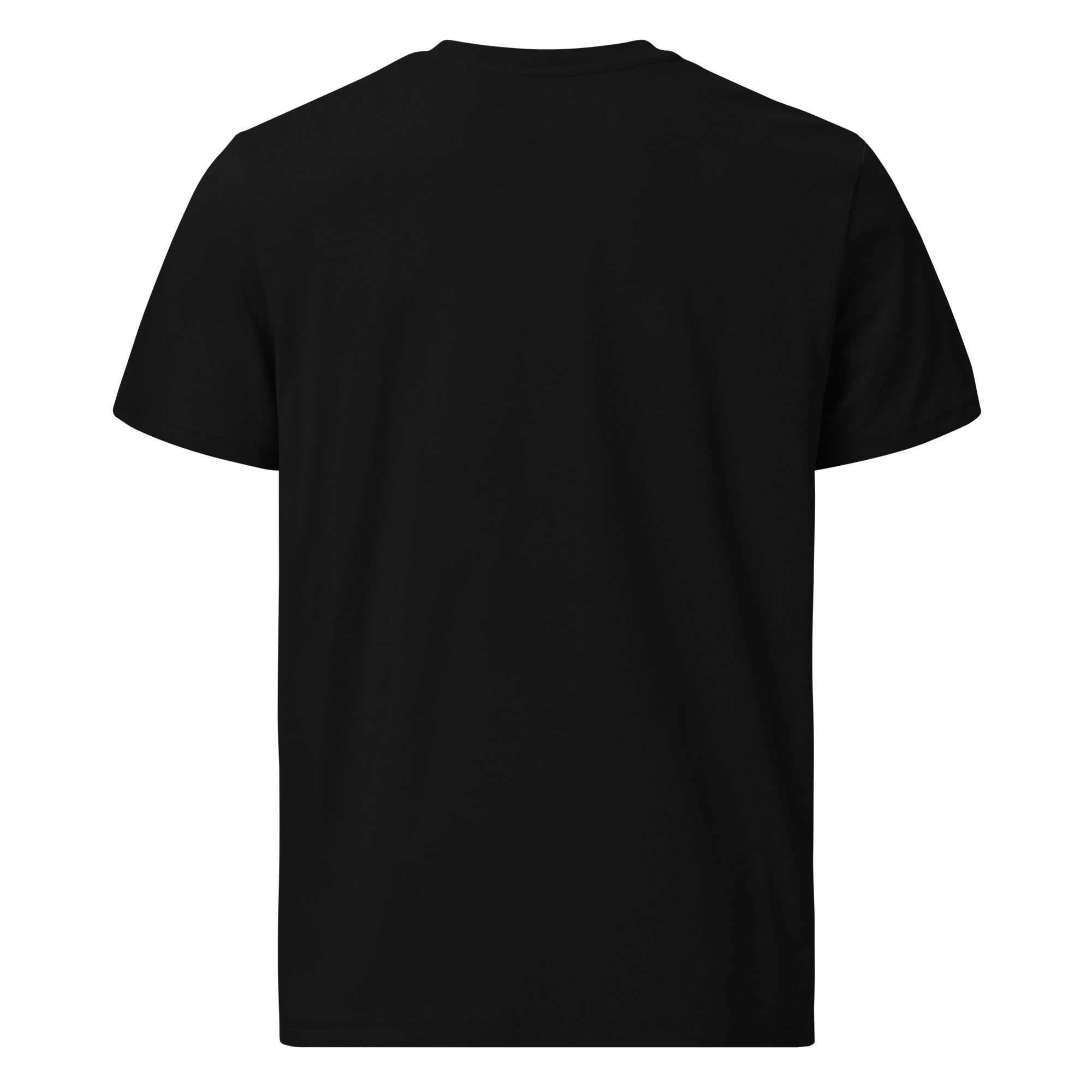Unisex organic cotton t-shirt Ski Bum embroidered pattern