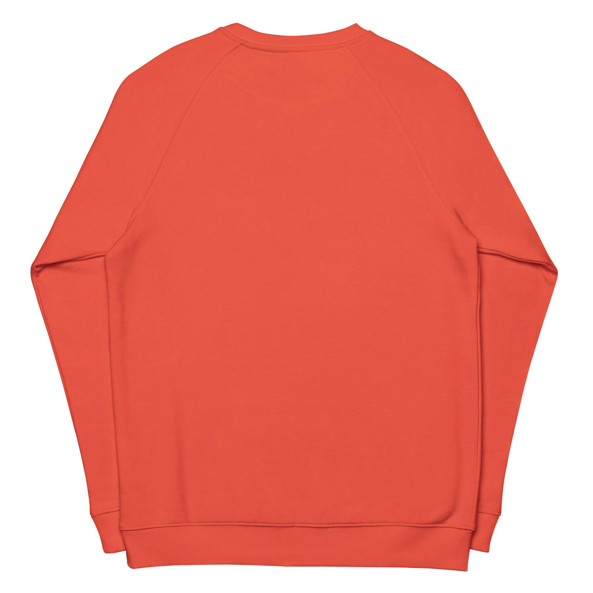 Sweatshirt écologique raglan unisexe Love Instructor First Lesson free
