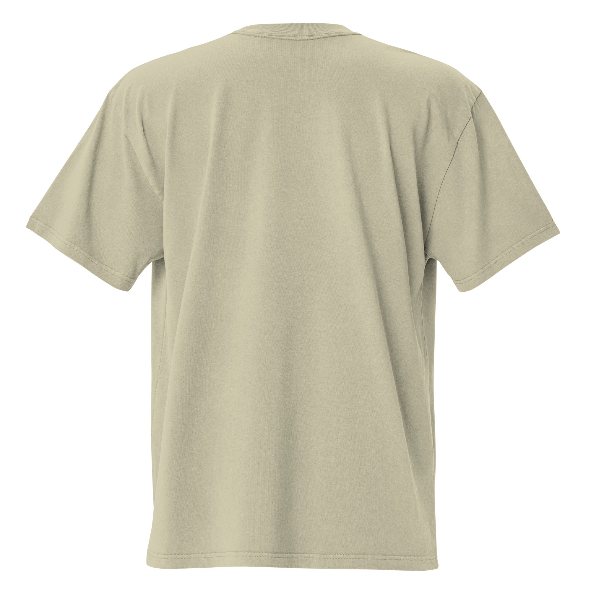 T-shirt oversize épais en coton Keep The Sea Clean bleu clair grand motif brodé