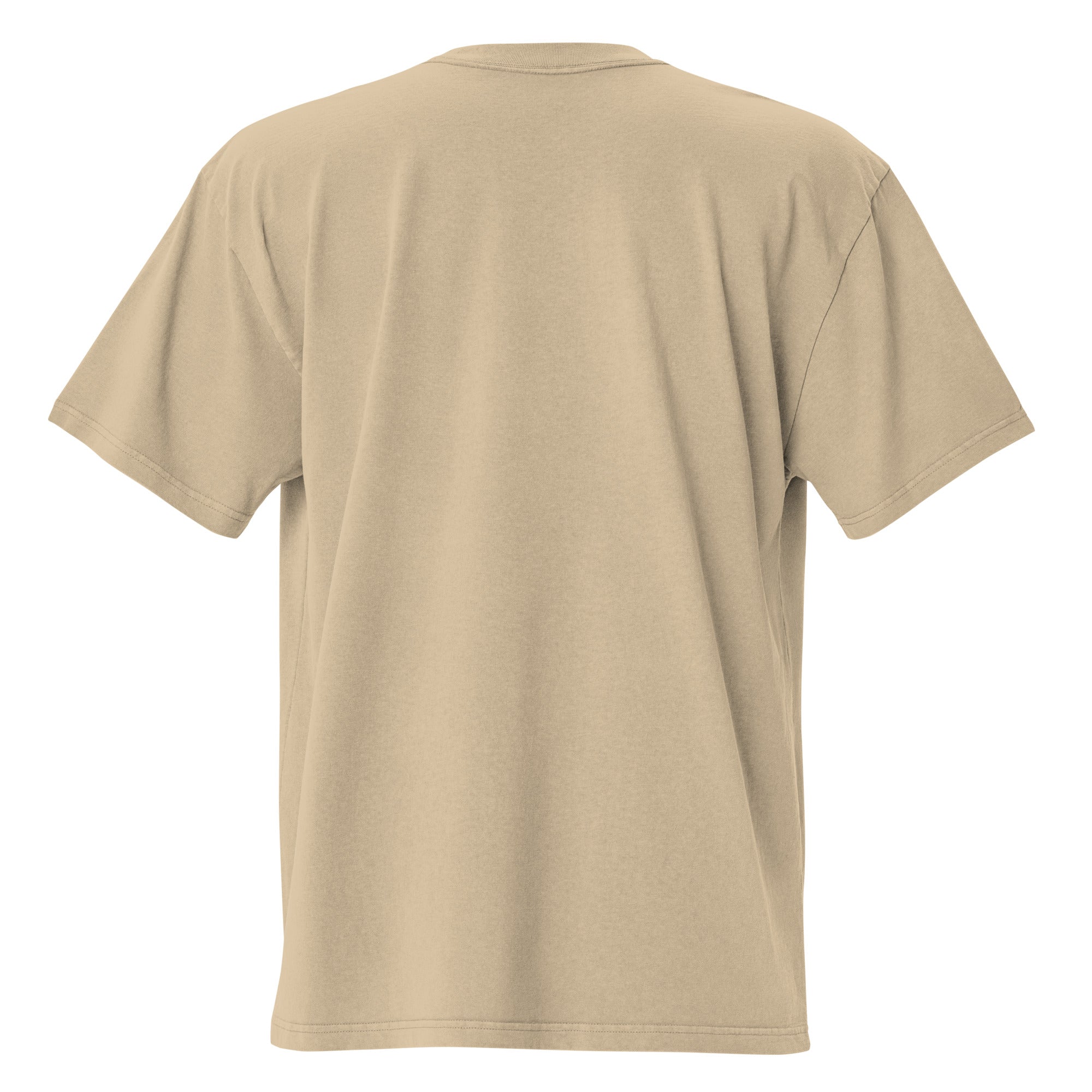 T-shirt oversize épais en coton Keep The Sea Clean blanc grand motif brodé