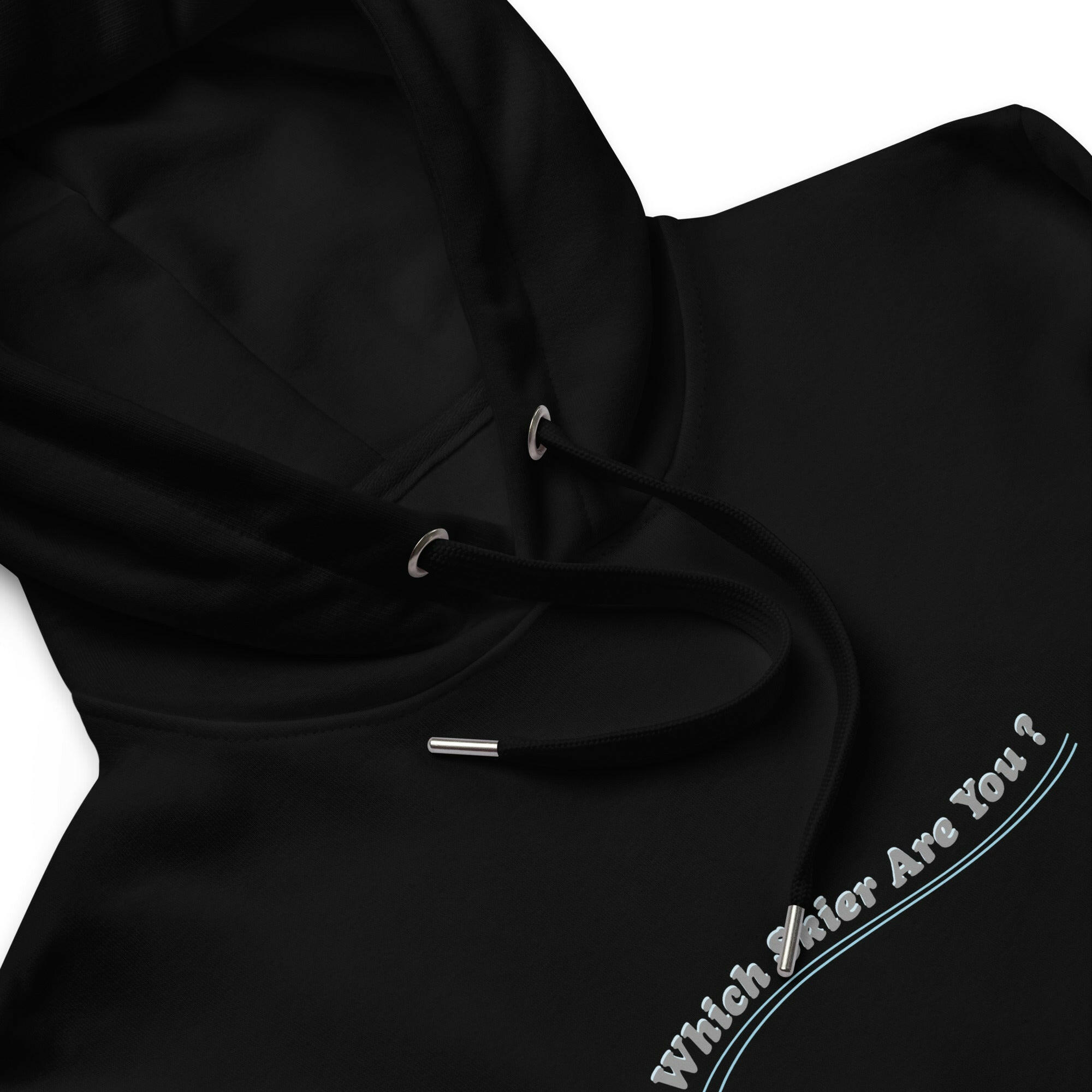 Premium eco hoodie Which skier are you? Ski Patrol (front & back)