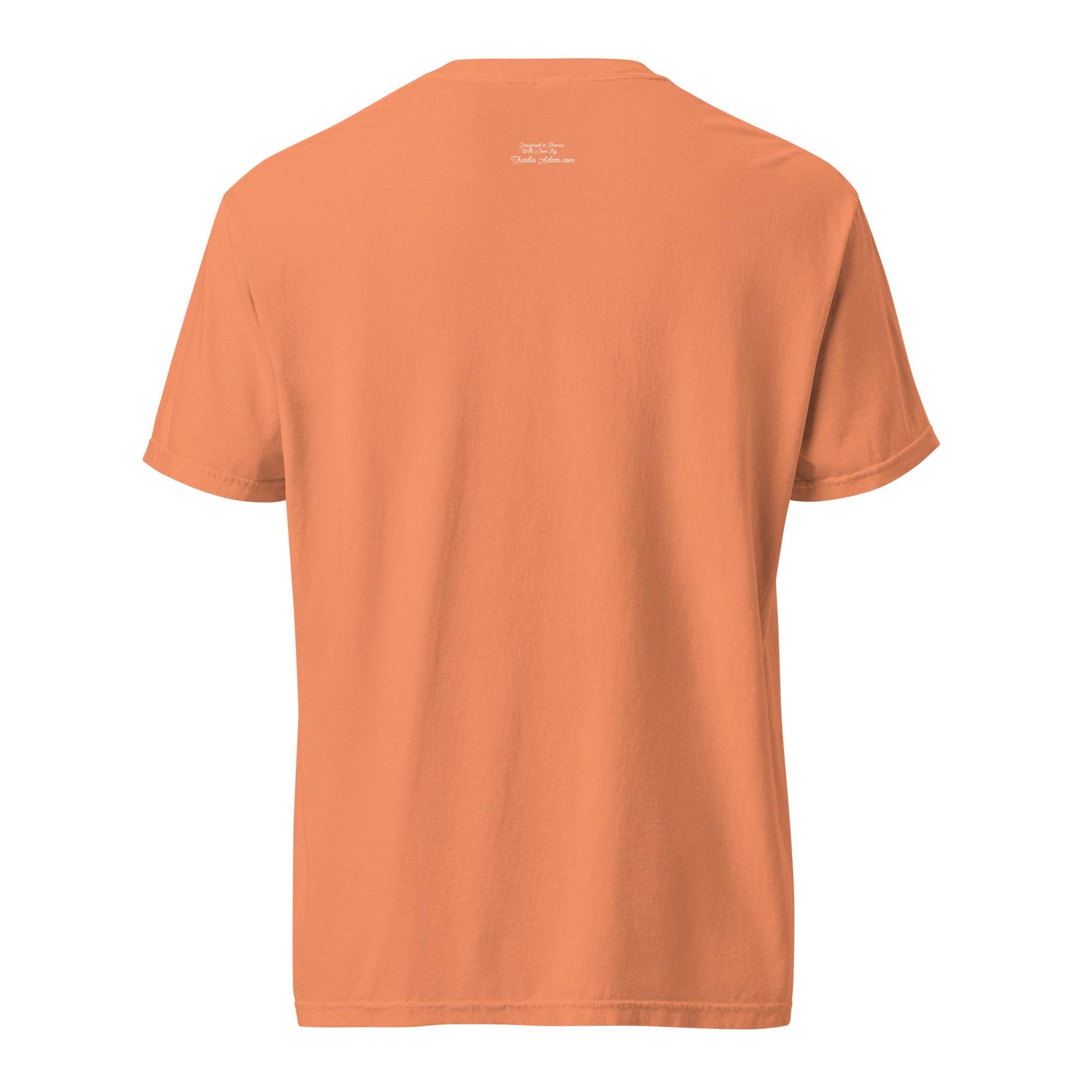 Unisex garment-dyed heavyweight t-shirt License To Chill Mission Après-Ski on dark colors