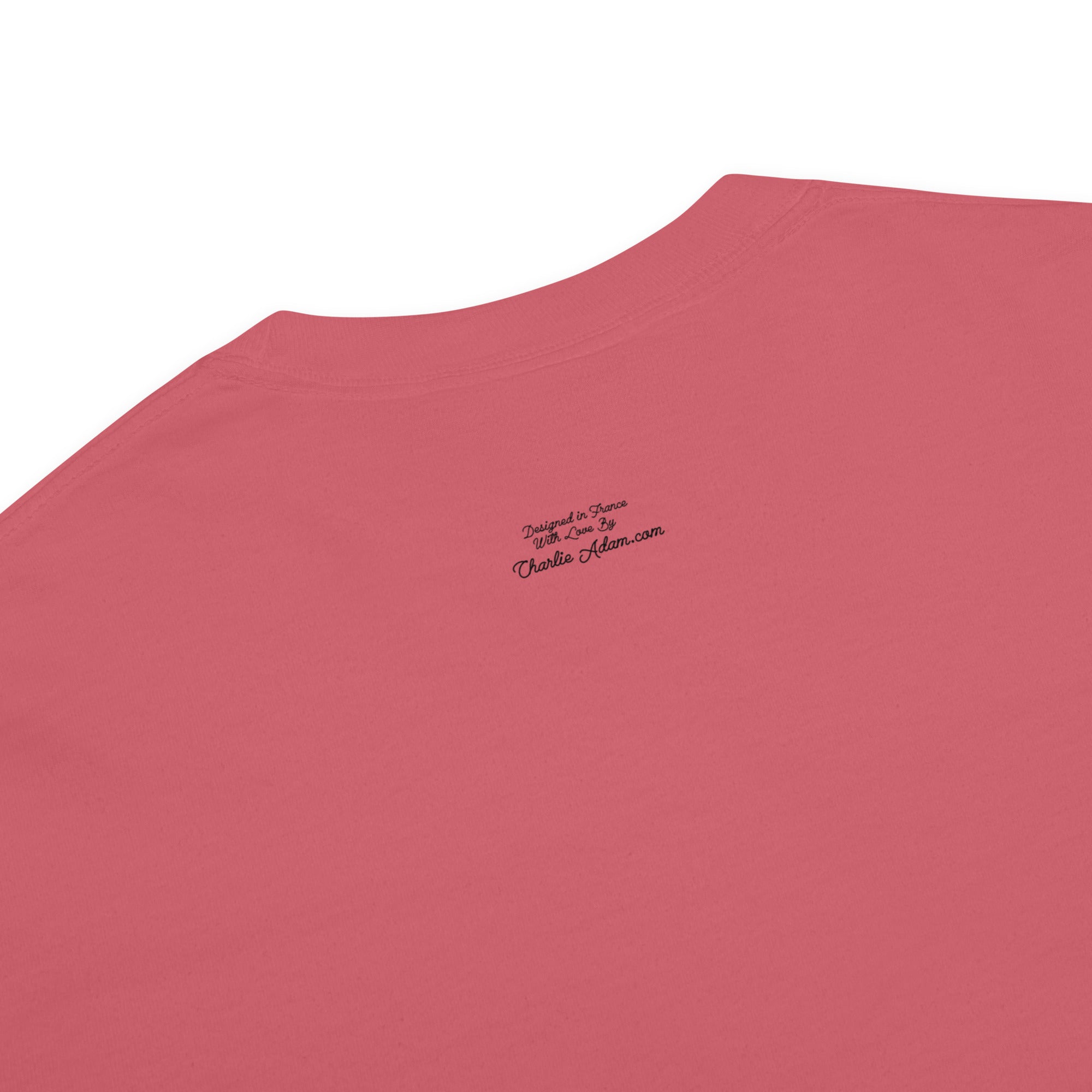 Unisex garment-dyed heavyweight t-shirt Gondolas in the mist on reds