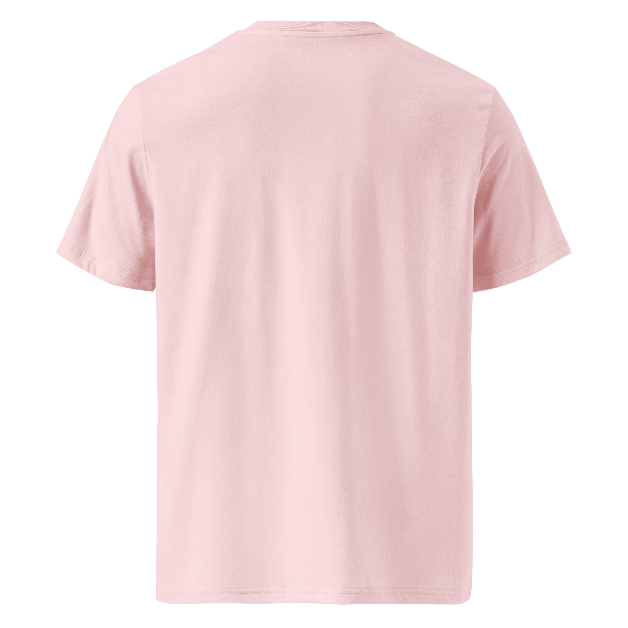 T-shirt unisexe en coton biologique Gondolas in the mist sur couleurs claires