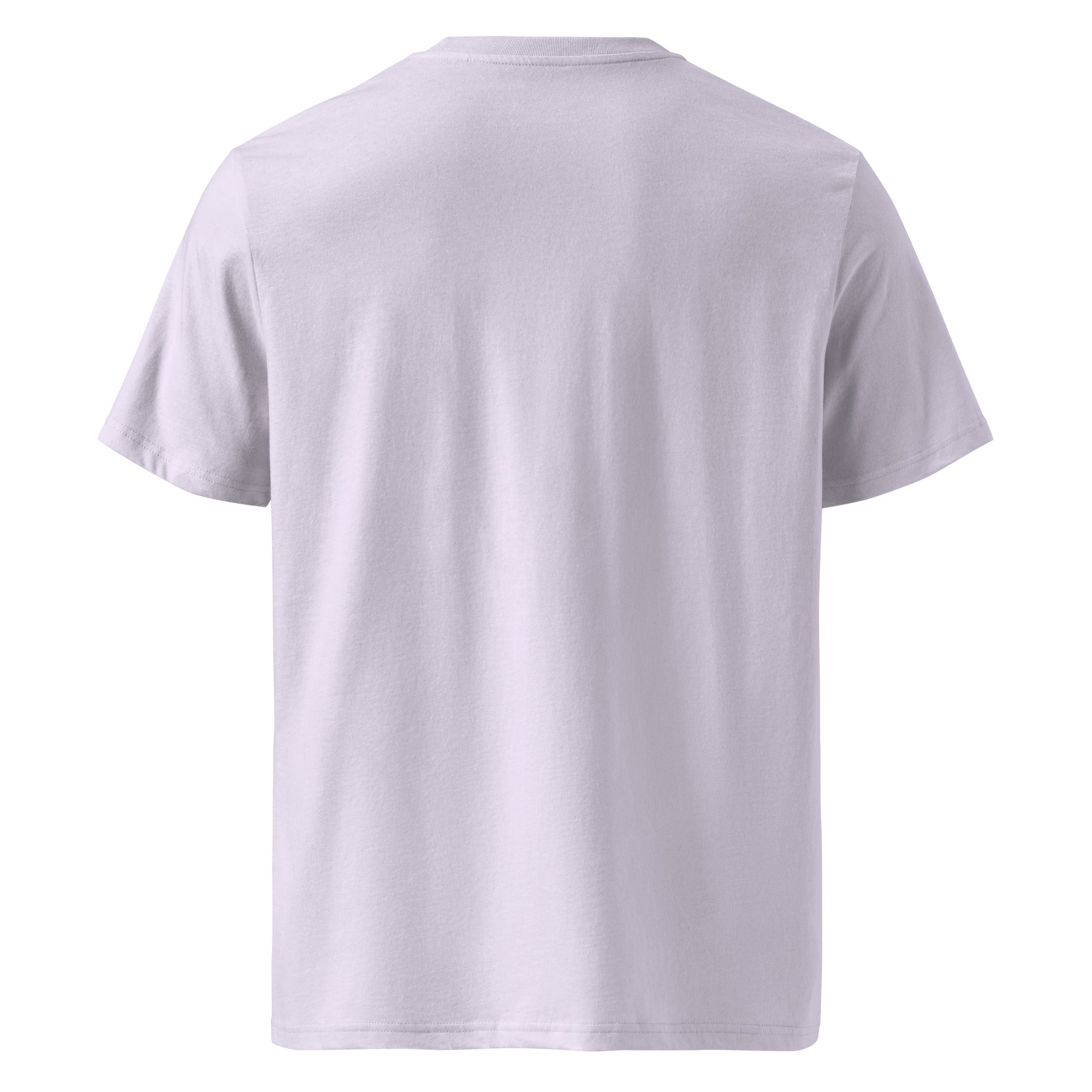 T-shirt unisexe en coton biologique Gondolas in the mist sur couleurs claires