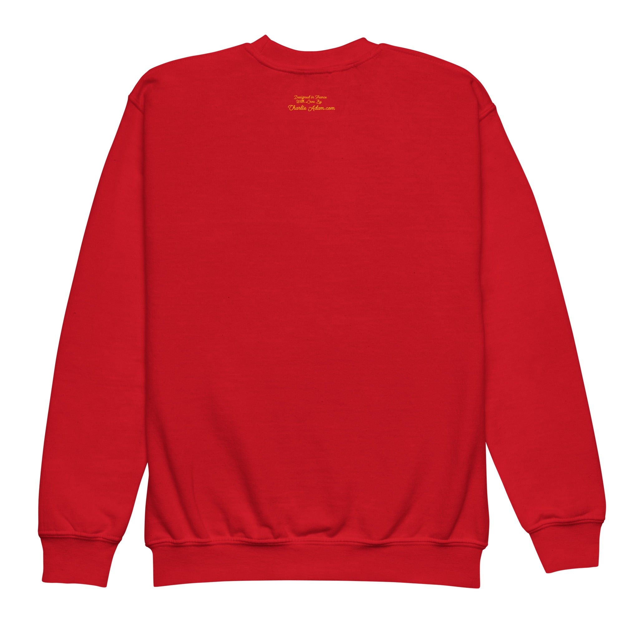 Youth crewneck sweatshirt Ultra Combi