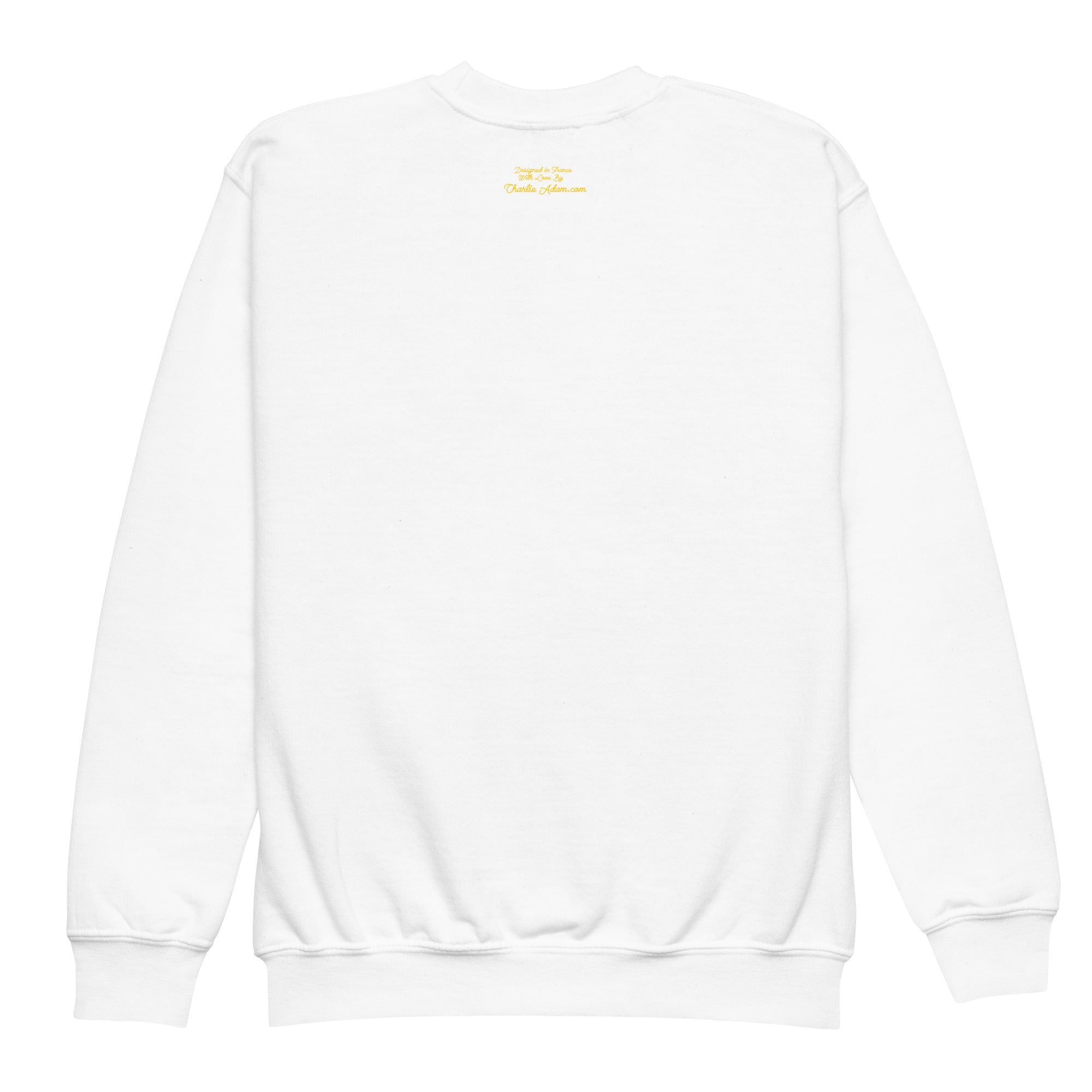 Youth crewneck sweatshirt Gondolas in the mist